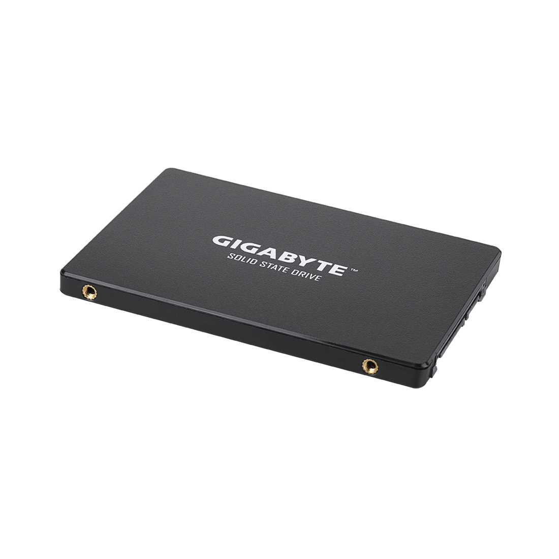 Твердотельный накопитель внутренний Gigabyte GSTFS31240GNTD — фото, характеристики