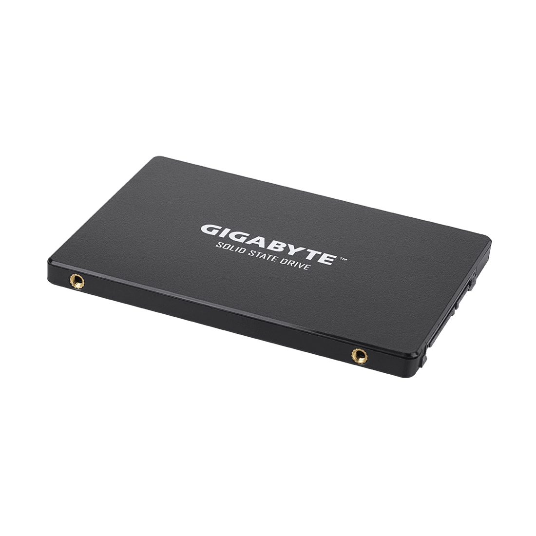 Твердотельный накопитель внутренний Gigabyte GP-GSTFS31100TNTD — фото, характеристики