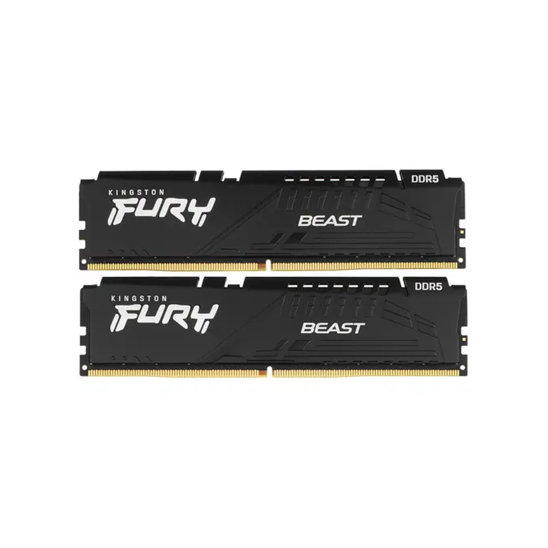 Комплект модулей памяти Kingston FURY Beast Black EXPO KF556C36BBEK2-64 DDR5 64GB (Kit 2x32GB) 5600M — фото, характеристики
